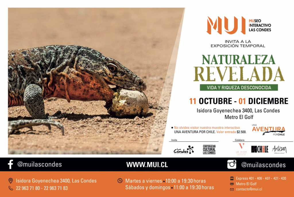 entrada y afiche